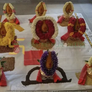 Navagraha Shubh Shanti Puja